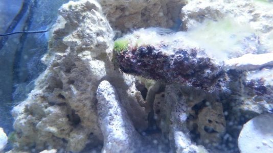 20130519_172403.jpg