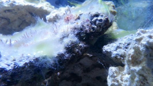 20130519_172414.jpg