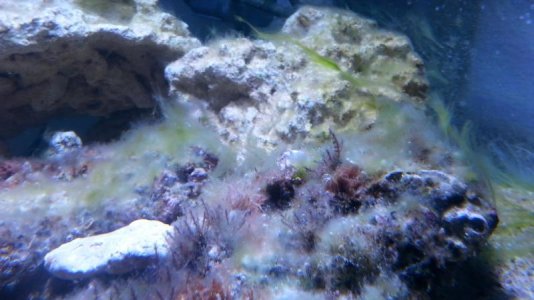 20130519_172421.jpg