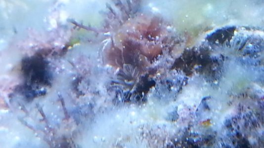 20130519_172431.jpg