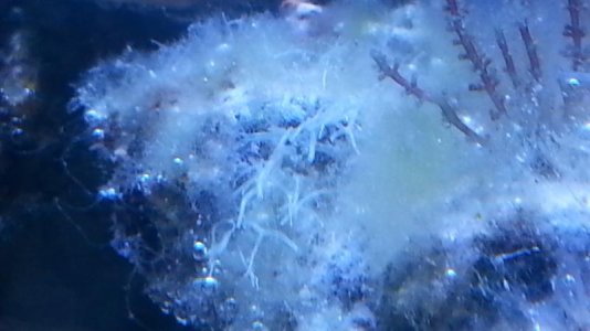 20130519_172447.jpg
