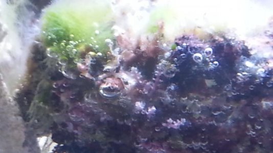 20130519_172505.jpg