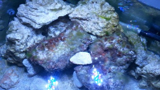 20130519_172524.jpg