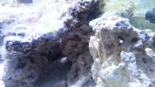 20130519_172559.jpg
