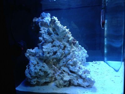 rsz_img_0219.jpg
