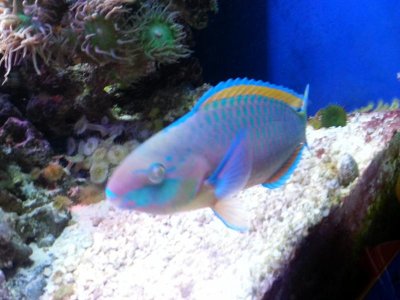 20130520_011023.jpg