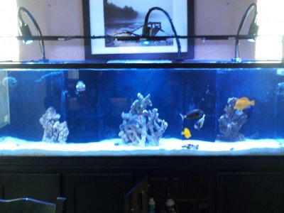 2013-05-12 15.40.34.jpg