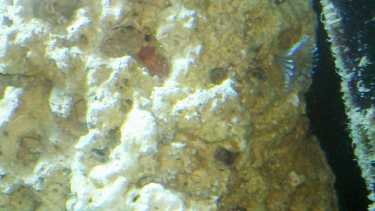 2013-05-20_13-11-43_532.jpg