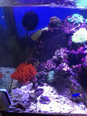 2013-05-22 16.51.01.jpg