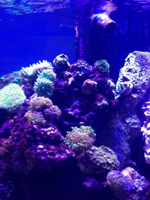 2013-05-22 16.51.18.jpg