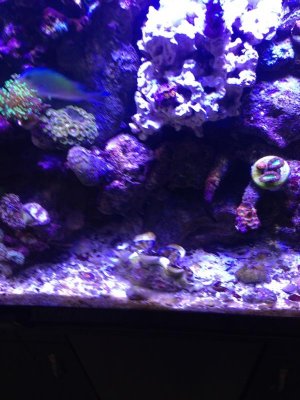 2013-05-22 16.51.33.jpg
