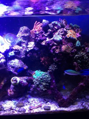 2013-05-22 16.51.45.jpg
