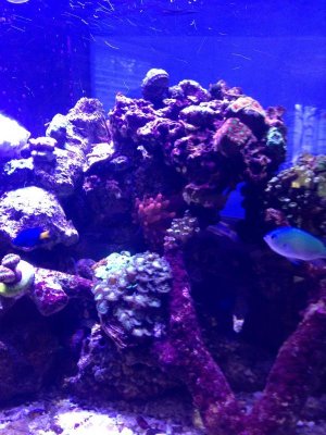 2013-05-22 16.52.06.jpg