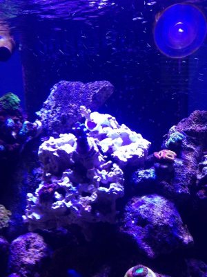 2013-05-22 16.52.15.jpg