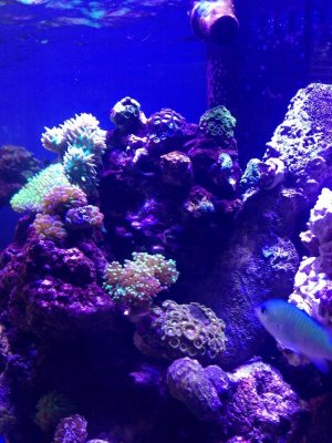 2013-05-22 16.52.21.jpg