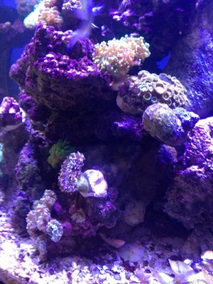 2013-05-22 16.52.26.jpg
