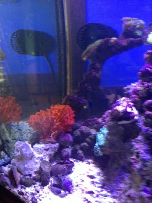 2013-05-22 16.52.30.jpg