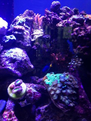 2013-05-22 16.52.37.jpg