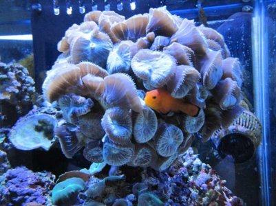 IMG_6530r.jpg