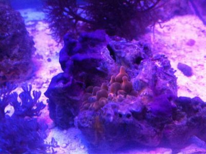 ebay sales1.jpg ebay sales1.jpg