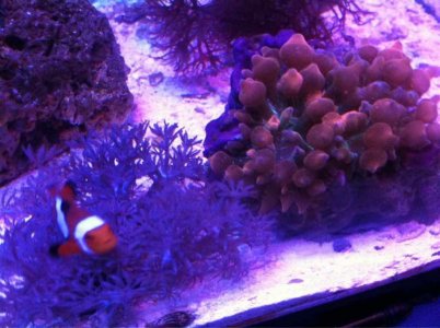 ypaduge4.jpg ypaduge4.jpg