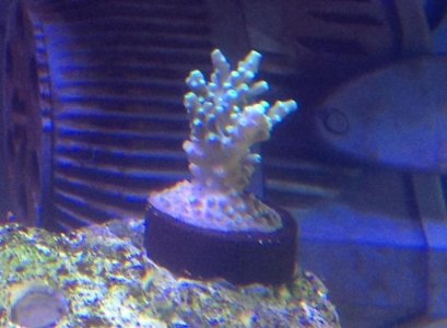 photo(19).jpg