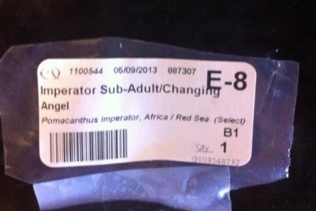 Label Redsea Changing Imp.jpg