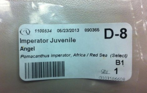 Label Redsea Juv Imp.jpg