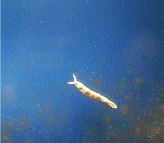 DSC_7150.jpg