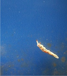 DSC_7152.jpg