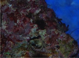 DSC_7185.jpg