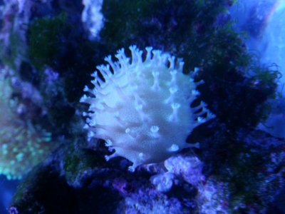 20130601_001352.jpg