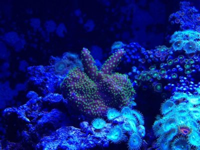 IMG_3490 (Medium).jpg