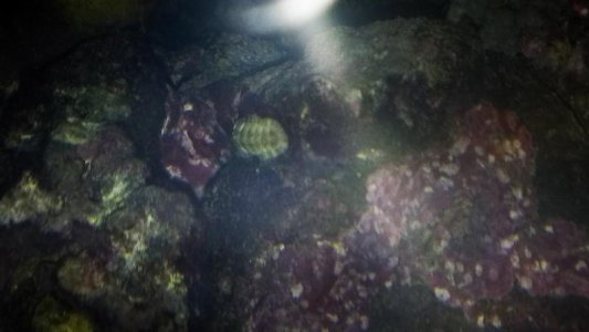IMAG0276.jpg