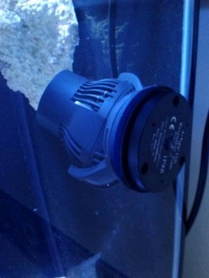 uploadfromtaptalk1370096588743.jpg uploadfromtaptalk1370096588743.jpg