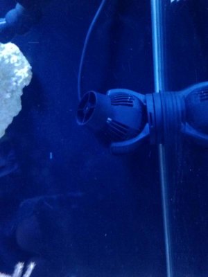 uploadfromtaptalk1370096621566.jpg uploadfromtaptalk1370096621566.jpg