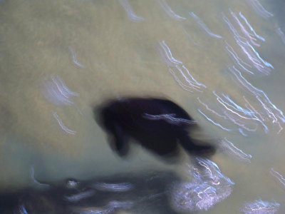 102B0750.jpg
