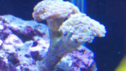2013-06-21_19-29-08_554.jpg
