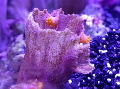 20130516_192921.jpg