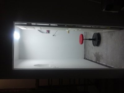 2013-03-28 20.58.26.jpg