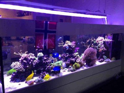 ImageUploadedByTapatalk1371995118.440269.jpg ImageUploadedByTapatalk1371995118.440269.jpg