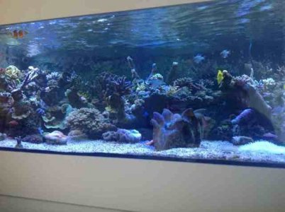 ImageUploadedByTapatalk1371999843.826116.jpg ImageUploadedByTapatalk1371999843.826116.jpg