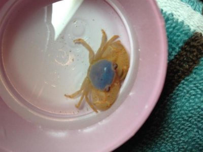 photo 1 (Medium).jpg