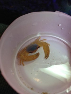 photo 3 (Medium).JPG