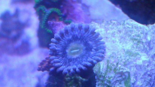 IMAG0955.jpg