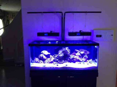 ImageUploadedByTapatalk 21370438642.892563.jpg