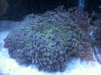photo 3.jpg