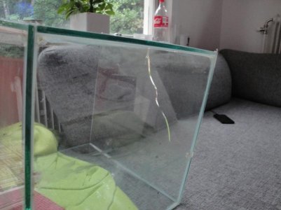 sump.jpg