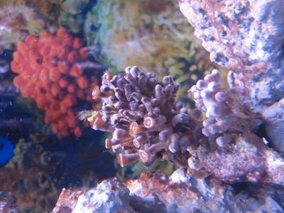 2013-06-26 20.50.24.jpg