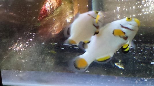 20130608_004918.jpg 20130608_004918.jpg